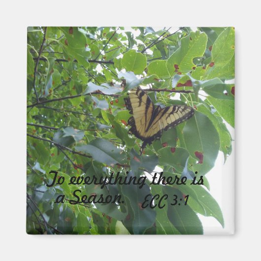 Ecclesiastes 3:1すべてのために季節がある マグネット (正面)