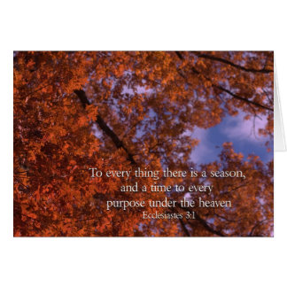 Ecclesiastes 3:1すべての事に季節がある