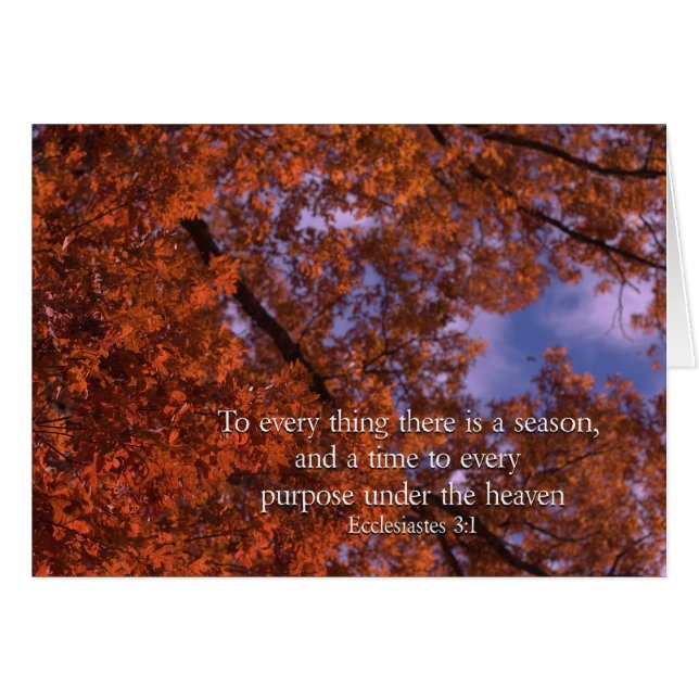 Ecclesiastes 3:1すべての事に季節がある (正面横)