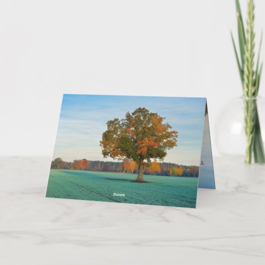 Ecclesiastes 3:11彼の時代の美しいすべてのもの カード (裏面)