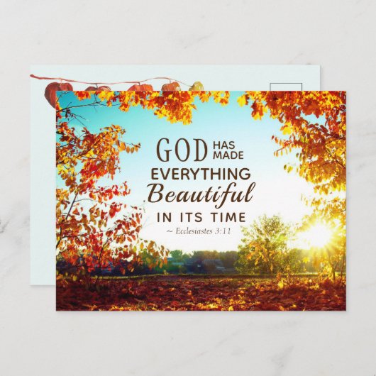 Ecclesiastes 3:11彼は全てを美しくした ポストカード (正面/裏面)