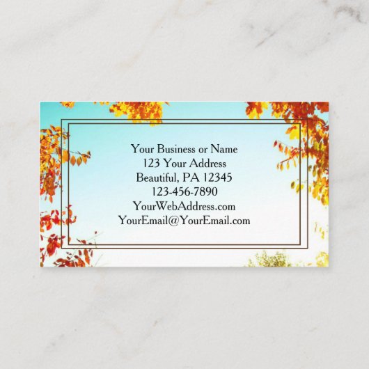 Ecclesiastes 3:11彼は全てを美しくした 名刺 (裏面)