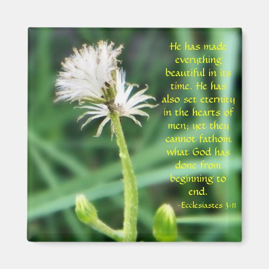 Ecclesiastes 3:11磁石 マグネット (正面)