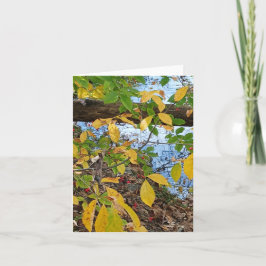 Ecclesiastes 3:1  カード