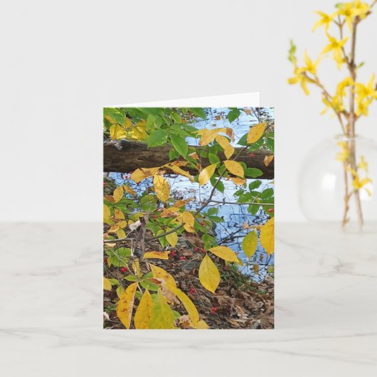 Ecclesiastes 3:1  カード (黄色い花)