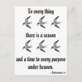 Ecclesiastes 3:1 ポストカード (正面)