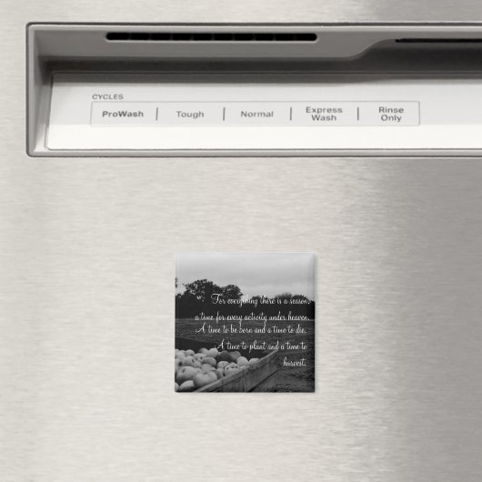 Ecclesiastes 3:2 マグネット (インサイチュ (食洗機))