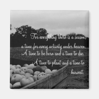 Ecclesiastes 3:2 マグネット