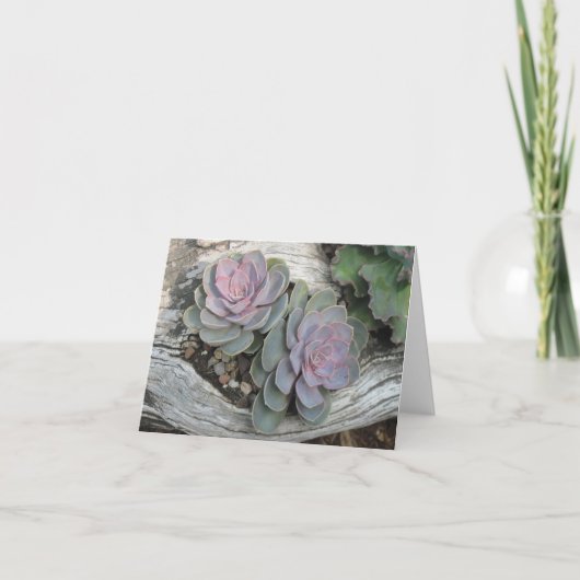 Ecehveriaの水気が多いメッセージカード カード (正面)