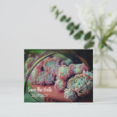 EchenveriaバラSucculent日付の保存 シーズンカード (スタンド正面)