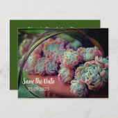 EchenveriaバラSucculent日付の保存 シーズンカード (正面/裏面)