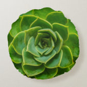 Echeveriaの水気が多い円形の枕 ラウンドクッション (裏面)