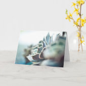 Echeveriaのsucculent カード (黄色い花)