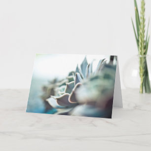 Echeveriaのsucculent カード