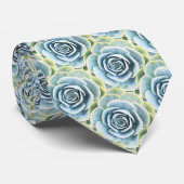Echeveria青および緑のImbricataのSucculent ネクタイ (ロール)