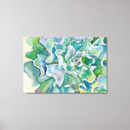 Echeveria 'Blue Frills'キャンバス印刷 キャンバスプリント (正面)