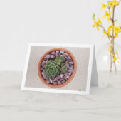 Echeveria Purpusorum、多汁植物 カード (黄色い花)