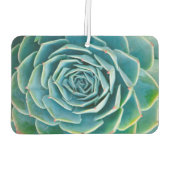 Echeveria Rosette, Secret Garden of Marrakech カーエアーフレッシュナー (裏面)