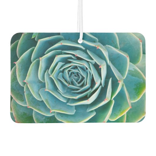 Echeveria Rosette, Secret Garden of Marrakech カーエアーフレッシュナー (正面)
