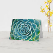 Echeveria Rosette, Secret Garden of Marrakech カード (黄色い花)