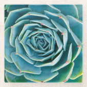Echeveria Rosette, Secret Garden of Marrakech ガラスコースター (正面)