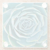 Echeveria Rosette, Secret Garden of Marrakech ガラスコースター (裏面)