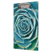 Echeveria Rosette, Secret Garden of Marrakech クリップボード (左)