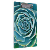 Echeveria Rosette, Secret Garden of Marrakech クリップボード (右)