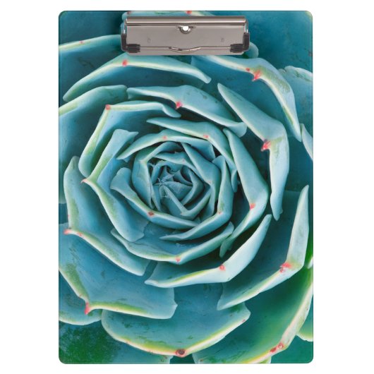 Echeveria Rosette, Secret Garden of Marrakech クリップボード (正面)