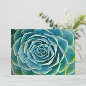 Echeveria Rosette, Secret Garden of Marrakech サンキューカード (スタンド正面)