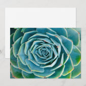 Echeveria Rosette, Secret Garden of Marrakech サンキューカード (正面/裏面)