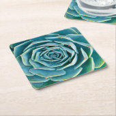 Echeveria Rosette, Secret Garden of Marrakech スクエアペーパーコースター (アングル)