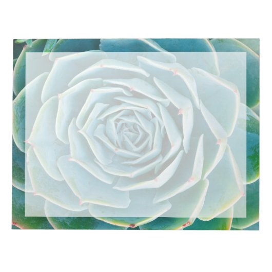 Echeveria Rosette, Secret Garden of Marrakech ノートパッド (正面)