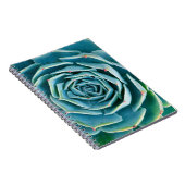 Echeveria Rosette, Secret Garden of Marrakech ノートブック (右側)