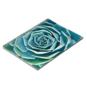 Echeveria Rosette, Secret Garden of Marrakech ノートブック (左側)