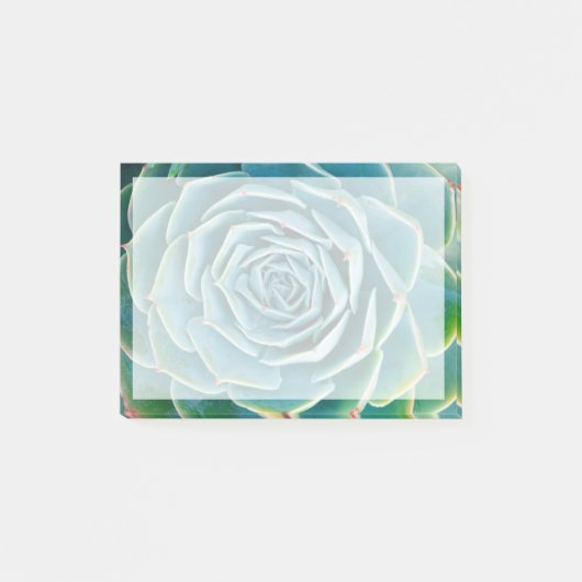 Echeveria Rosette, Secret Garden of Marrakech ポストイット (正面)
