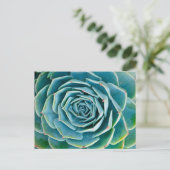 Echeveria Rosette, Secret Garden of Marrakech ポストカード (スタンド正面)