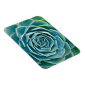 Echeveria Rosette, Secret Garden of Marrakech マグネット (右側)