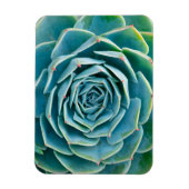Echeveria Rosette, Secret Garden of Marrakech マグネット (縦)