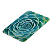 Echeveria Rosette, Secret Garden of Marrakech マグネット (左側)
