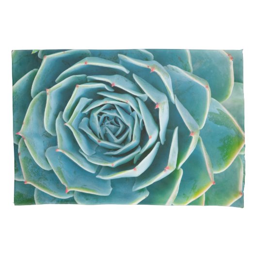 Echeveria Rosette, Secret Garden of Marrakech 枕カバー (正面)
