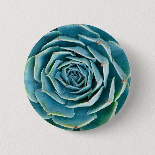 Echeveria Rosette, Secret Garden of Marrakech 缶バッジ (正面)