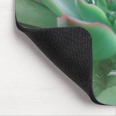 Echeveria 「Tippy マウスパッド (コーナー)