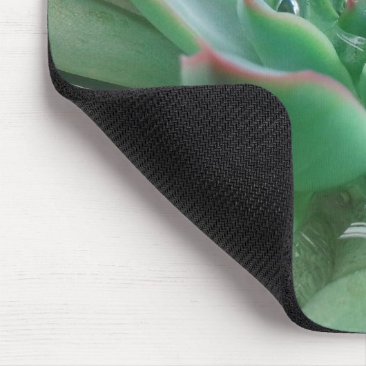 Echeveria 「Tippy マウスパッド (コーナー)