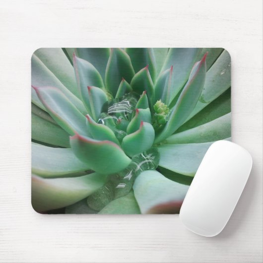 Echeveria 「Tippy マウスパッド (マウス)