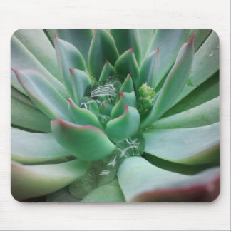 Echeveria 「Tippy マウスパッド