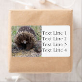 EchidnaまたはSprit Anteater Australia ラベル (インサイチュ)