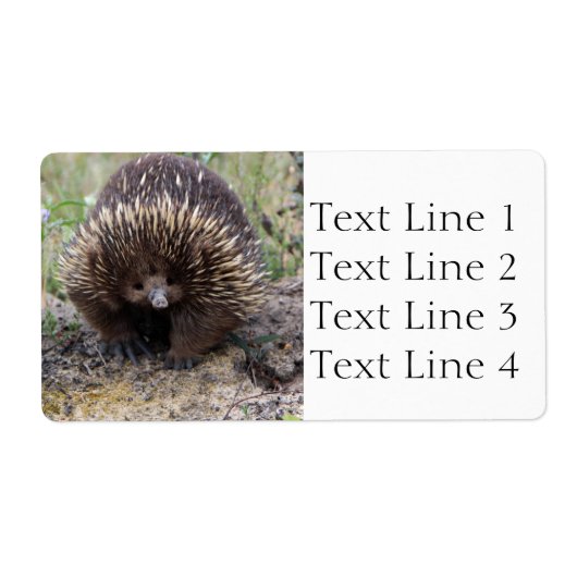 EchidnaまたはSprit Anteater Australia ラベル (正面)