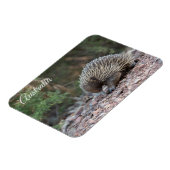 Echidna(オーストラリア) マグネット (左側)