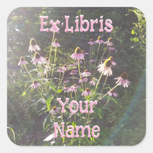 Echinacea Flowers in the Sun Bookplate スクエアシール (正面)